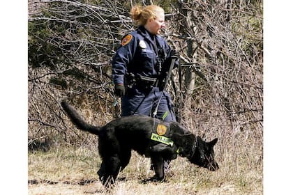Una oficial de policía del condado de Suffolk y un perro buscan restos humanos en el área de Gilgo Beach en Long Island, Nueva York, el 29 de marzo de 2011. 