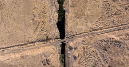 Una ola global de autorretratos generados por IA puede consumir tanta agua como una ciudad pequeña en un mes.