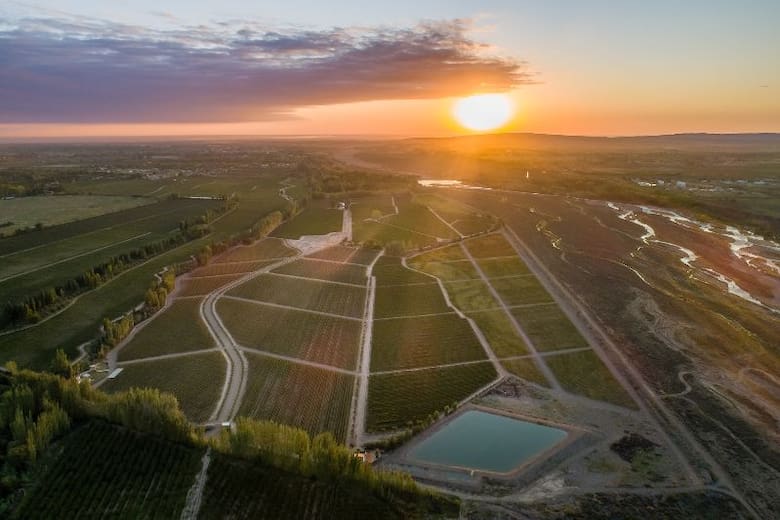 Raíces mendocinas: el sueño de Federico Bandini en Finca Bandini