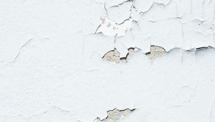 Una pared afectada por la humedad (Foto:Pexels)