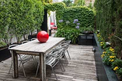 Una pared verde en el patio, balcón o terraza es la opción ideal para sumar verde sin quitar espacio