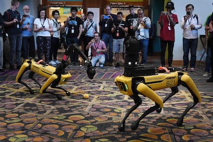Una pareja de robots cuadrúpedos Spot recorren los pasillos de la feria Re:MARS en Las Vegas