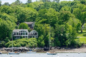 La escandalosa razón por la que una pareja de Maine envenenó los árboles de sus vecinos