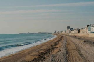 Apareció una misteriosa criatura en una playa de Reino Unido