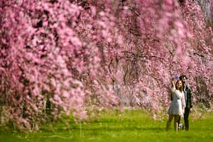 “La consagración de la primavera”