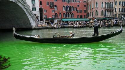 Una parte de las aguas del Gran Canal de Venecia, en Italia, se tiñeron de verde fosforescente este domingo