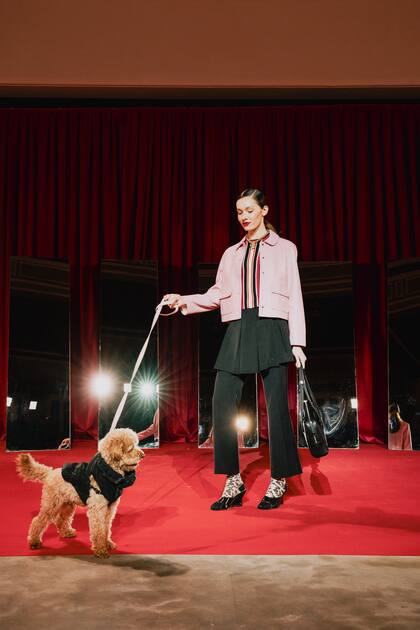 Una pasarela pet friendly