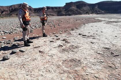 Una patrulla de Prefectura halló huellas de dinosaurio de unos 100 millones de años de antigüedad