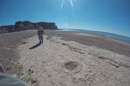 Una patrulla de Prefectura halló huellas de dinosaurio de unos 100 millones de años de antigüedad