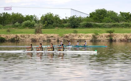 Una pelea remo a remo en la pista