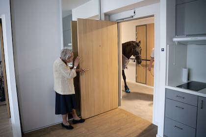 Una pensionista mira a Dounka, una yegua de 10 años, que solía trabajar con personas mayores en MARPA, una residencia para ancianos en Ornans, al este de Francia, el 21 de marzo de 2023