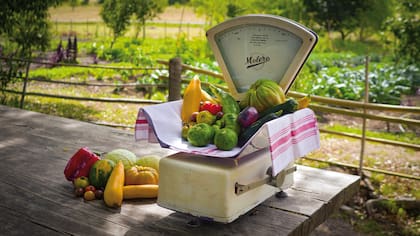 Una pequeña muestra de los frutos que salen de la huerta y van directo a la mesa.