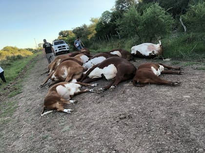 “Una pérdida económica enorme y un gran susto para mi familia. Pero gracias a Dios no hubo que lamentar ninguna víctima fatal porque de haber descendido de la camioneta hubiesen muertos electrocutados”, subrayó la productora