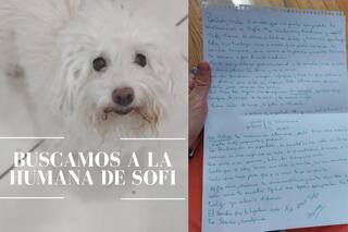 Abandonó a su perrita con una desgarradora carta que movilizó a un barrio entero