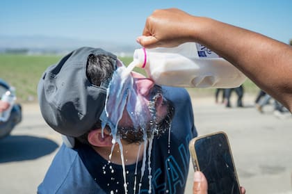 Una persona arroja leche sobre el rostro de un manifestante después de que agentes federales de inmigración rociaron gas lacrimógeno contra los inconformes durante una redada migratoria, el jueves 10 de julio de 2025, en el área agrícola de Camarillo, California. (AP Foto/Michael Owen Baker)