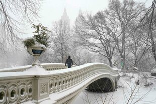 Paisaje invernal: el mismo  Puente Bow, cubierto de nieve