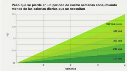 Una persona debería consumir unas 500 calorías menos de lo que requiere su cuerpo para poder perder cerca de medio kilo en siete días