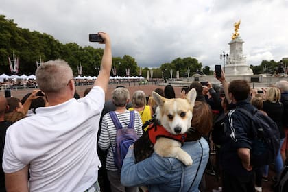 Una persona entre el público llevó a su corgi para despedir a la reina Isabel II