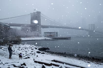 Una persona pasea a su perro por el East River frente al Puente de Brooklyn durante la nevada, el domingo 14 de diciembre de 2025, en el distrito de Brooklyn de Nueva York