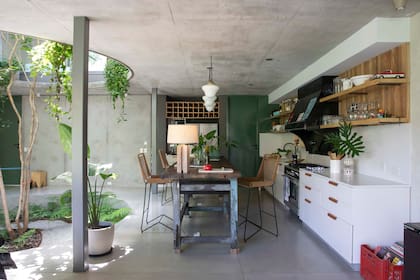 Una “pezuña de vaca” traída de Corrientes vive en el cantero de 4 metros de diámetro que también aloja helechos y un camino de grava blanca.