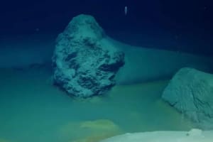 Los científicos finalmente llegaron al fondo del Mar Rojo y lo que encontraron fue aterrador