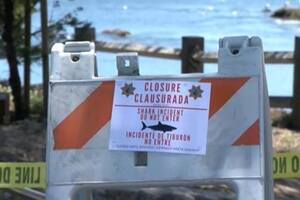 Alerta por los ataques de tiburones en una playa de EE.UU.: ya hubo seis víctimas en la temporada