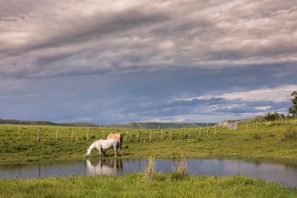 Una postal agrícola de esta zona de frontera.