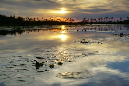 Una postal al atardecer en el Parque Nacional Mburucuyá