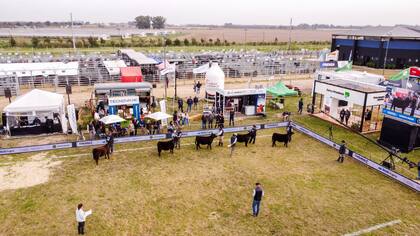 Una postal de la muestra