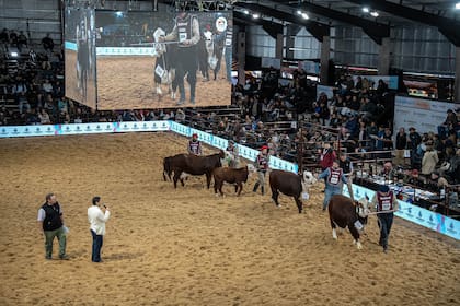Una postal de Las Nacionales en Corrientes