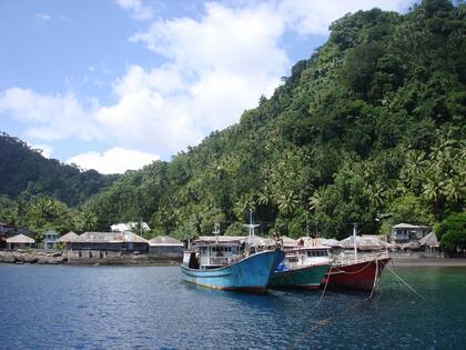 Una postal de Siau. Los barcos de los pescadores fondeados frente a una pequeña aldea. Detrás, todo es selva