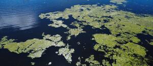 Contrapunto entre el gobierno provincial y el nacional por las tareas ante las inundaciones en Buenos Aires