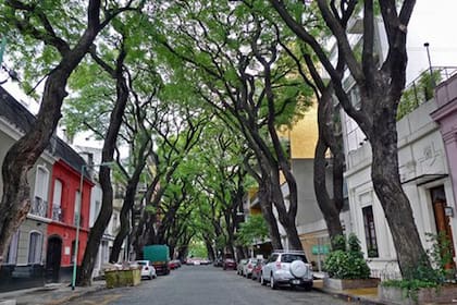 Una postal del barrio de Palermo