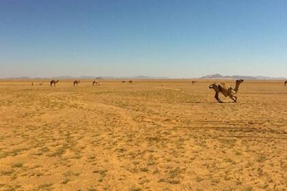 Una postal del camino hasta Bir Tawil en el desierto de Sudán