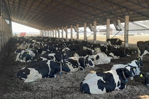 Dos tambos de Villa María certificaron las normas IRAM de buenas prácticas