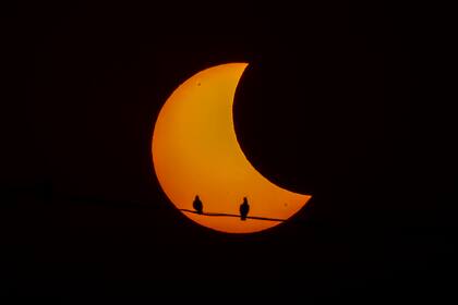 Una postal del paso del eclipse solar parcial por la ciudad de Nueva Delhi, en la India (AP Photo/Altaf Qadri)