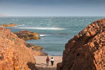 Una postal del Portal Isla Leones.