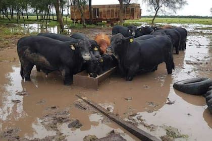 Una postal dura con el agua en todas partes