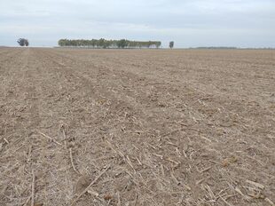 Una postal sobre la sequía en el campo donde produce Ripa