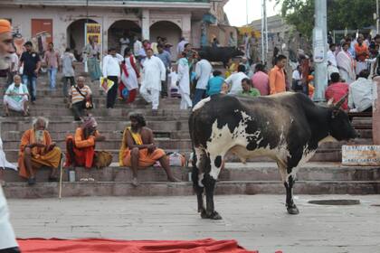 Una postal típica de las calles de Varanasi.