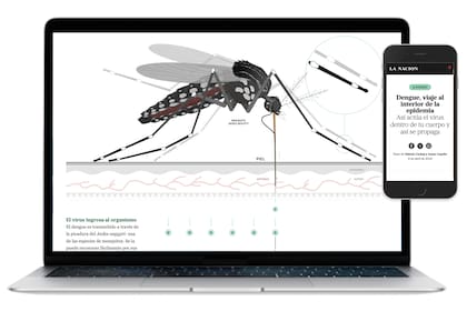Una producción de Fabiola Czubaj sobre el dengue recibió el primer premio en la categoría Infografía y Periodismo Visual