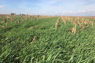 Día Nacional de la Conservación del Suelo: un recurso para comprender, conocer y respetar