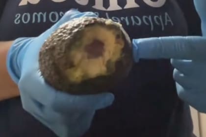 Una rata invadió su cocina y devoró plátanos y aguacates