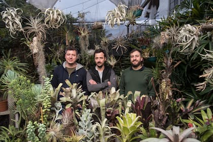 Una recorrida por La Casa Vivero