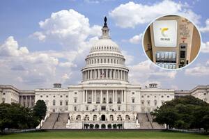 Una refrescante adición al ambiente del Capitolio, llevando energía y enfoque a cada rincón durante las intensas sesiones (Canva)