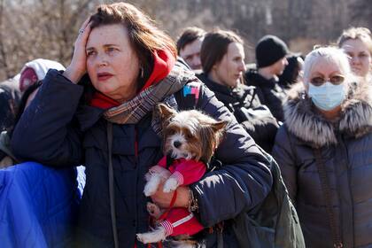 Una refugiada ucraniana y su perro en la frontera con Eslovaquia
