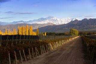 Vinos: qué quiere decir Pampa El Cepillo, algo que veremos en las etiquetas