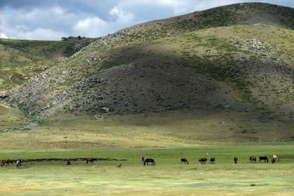 Una región de pastoreo en el oeste de Mongolia, la región donde se decretó la cuarentena obligatoria