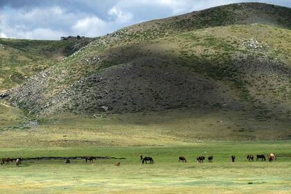 Una región de pastoreo en el oeste de Mongolia, la región donde se decretó la cuarentena obligatoria