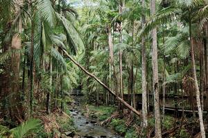 Una región que es dueña del sol por abolengo.